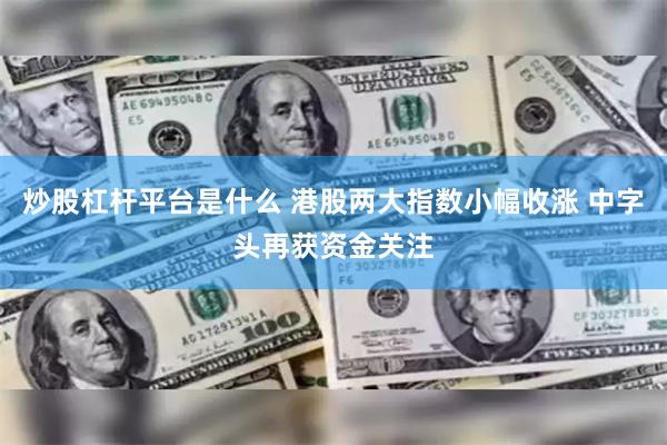 炒股杠杆平台是什么 港股两大指数小幅收涨 中字头再获资金关注