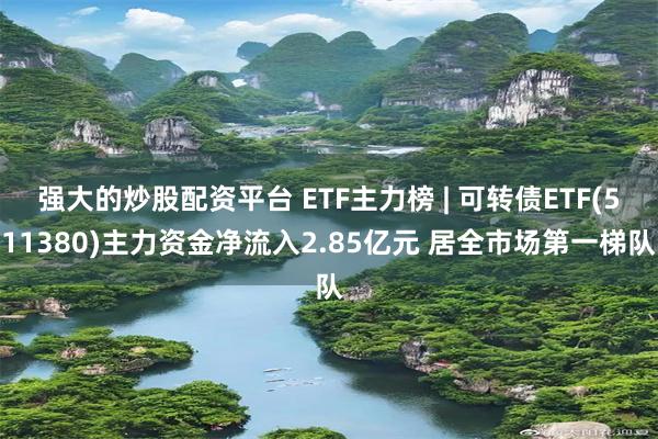 强大的炒股配资平台 ETF主力榜 | 可转债ETF(511380)主力资金净流入2.85亿元 居全市场第一梯队