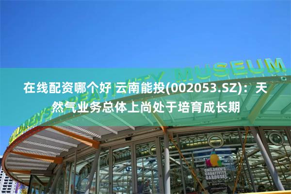 在线配资哪个好 云南能投(002053.SZ)：天然气业务总体上尚处于培育成长期