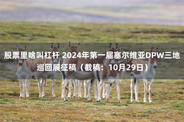 股票里啥叫杠杆 2024年第一届塞尔维亚DPW三地巡回展征稿（截稿：10月29日）