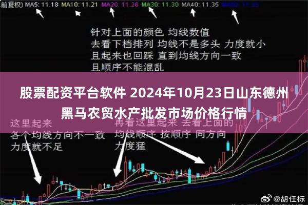 股票配资平台软件 2024年10月23日山东德州黑马农贸水产批发市场价格行情