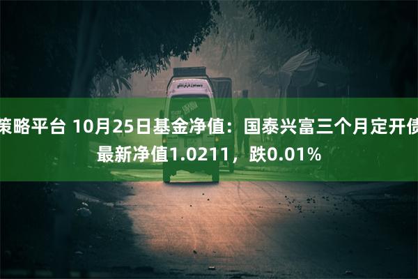 策略平台 10月25日基金净值：国泰兴富三个月定开债最新净值1.0211，跌0.01%