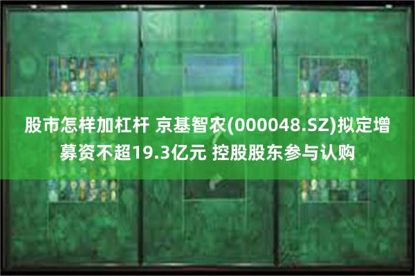 股市怎样加杠杆 京基智农(000048.SZ)拟定增募资不超19.3亿元 控股股东参与认购