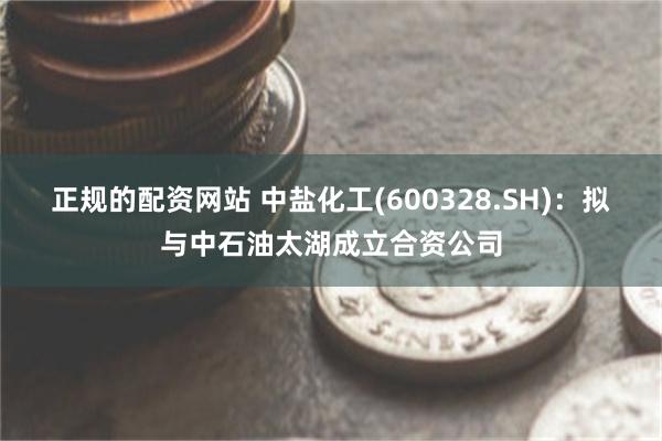 正规的配资网站 中盐化工(600328.SH)：拟与中石油太湖成立合资公司