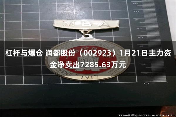 杠杆与爆仓 润都股份（002923）1月21日主力资金净卖出7285.63万元