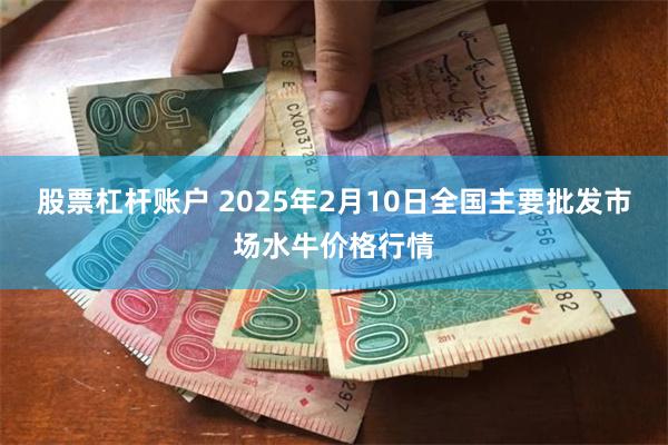 股票杠杆账户 2025年2月10日全国主要批发市场水牛价格行情